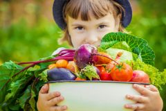 安全性の高い食材宅配ベスト3!小さな子供にも安心の業者はどこ?