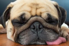 美肌の秘訣は疲れもメイクもきっちりオフ!!おすすめクレンジング