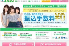 新生銀行カードローン『レイク』の審査は?在籍確認はあるの?