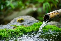 国産のウォーターサーバーの料金・配達エリア・水の種類を比較