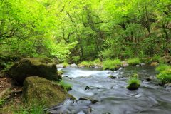 硬水と軟水はどう違う?水の種類ごとの特徴を比較