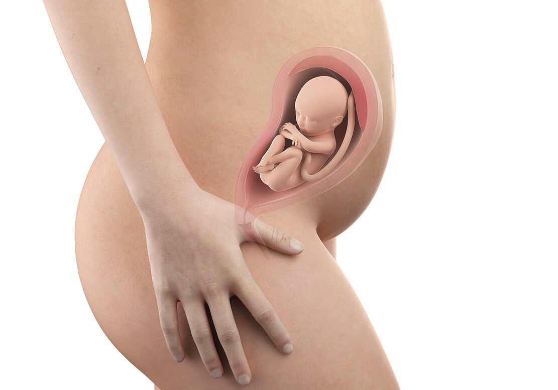 妊娠7か月の症状や過ごし方とは 赤ちゃんとママの２８０日