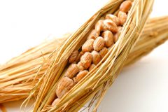 週に3日食べるだけ嬉しい変化が♡納豆パワーがお腹の調子を整えて便秘対策に!