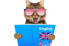 大手英会話スクールならではの安心感が魅力!オンライン英会話【ジオス】