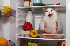 手作りキャットフードの注意点!猫が食べてはいけないもの一覧