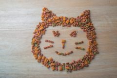 猫を飼い始めるときの基本知識!キャットフードの種類と選び方とは?