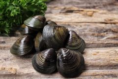 アラニンの効果・効能は?摂取できる食品と人気のアラニンサプリを紹介!