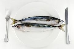 アラキドン酸の効果とは?摂取できる食品と人気のアラキドン酸サプリを紹介!