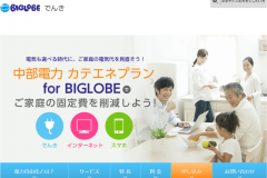 BIGLOBEでんきの電気料金プランは?申込から契約までの流れ