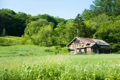 空き家となった土地の管理は必要?価値を維持できる手間や費用は?