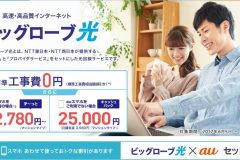 ビックローブ光の料金や速度を紹介!キャンペーンや評判は?
