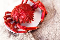 キトサンの効果・効能とは?人気のキトサンサプリと摂取できる食品を紹介!