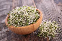 スルフォラファンの効果・効能とは?おすすめのサプリや摂取できる食品を紹介