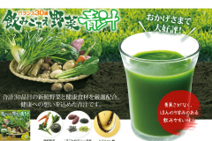 エバーライフ 飲みごたえ野菜青汁の効果や口コミ|価格の最安値は?