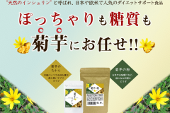 「菊芋のちから」「菊芋の粉」2種類のイヌリンサプリの評判を紹介!