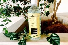Gaivota(ガイヴォータ)の口コミからお得な購入方法まで知りたい情報総まとめ!