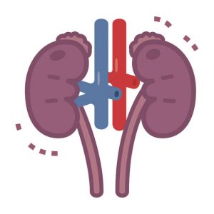 慢性腎不全