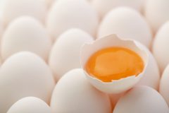 レシチンの効果・効能は?摂取できる食品やレシチンサプリを紹介!
