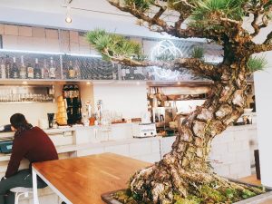 BON HOSTEL&CAFE,DINING(ボンホステル&カフェダイニング)