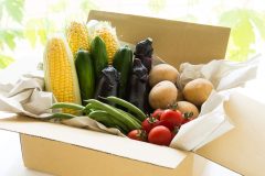野菜宅配のおすすめ5選!有機・無農薬野菜を取り扱う業者はどこ?