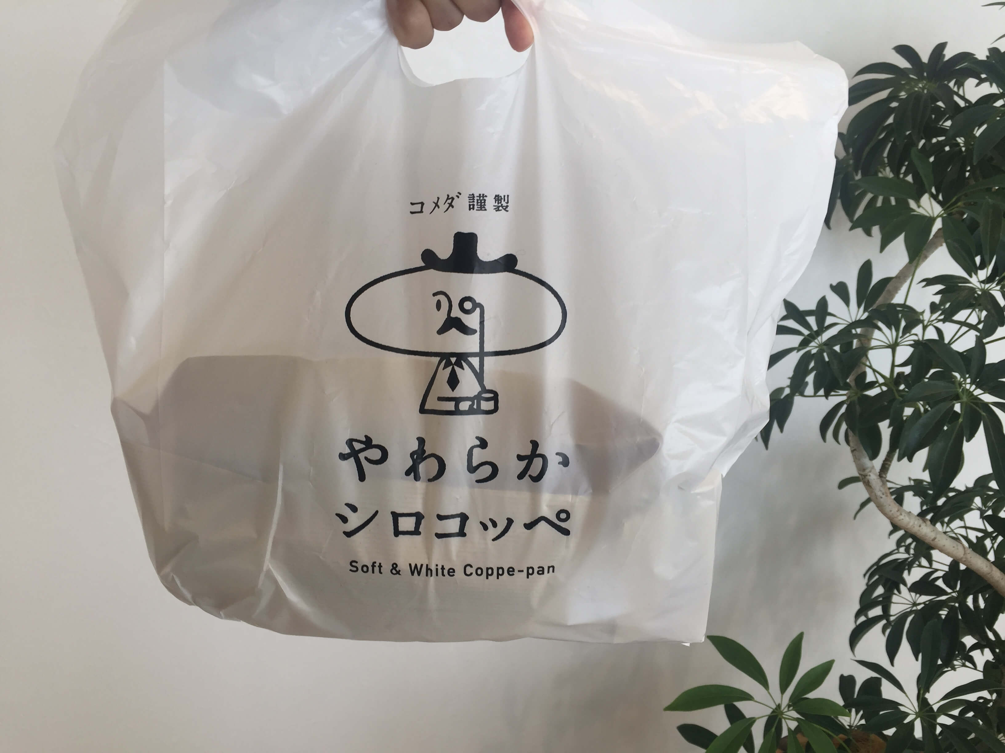 やわらかシロコッペ