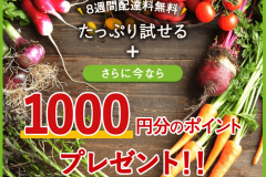 べじべじ倶楽部の特徴や評判を解説!価格は高いの?