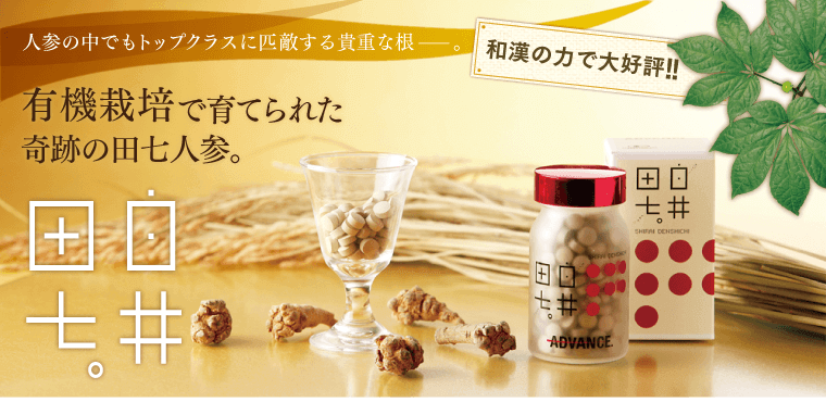 白井田七。