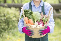 安全性の高い野菜を食べたい!西日本・九州の野菜を扱う宅配業者5選