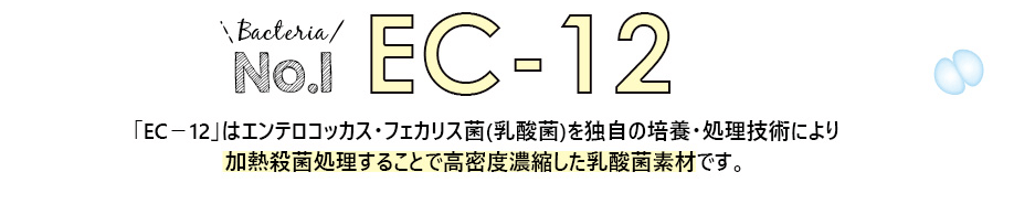 乳酸菌EC-12