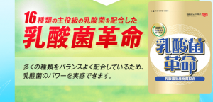 乳酸菌革命はこんなサプリ!