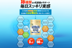 乳酸菌革命の口コミや効果|16種類の乳酸菌を詰め合わせた贅沢サプリの実力は?