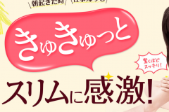 【きゅきゅっとスリム】とっておきの素材でスラリ美人を手に入れちゃおう
